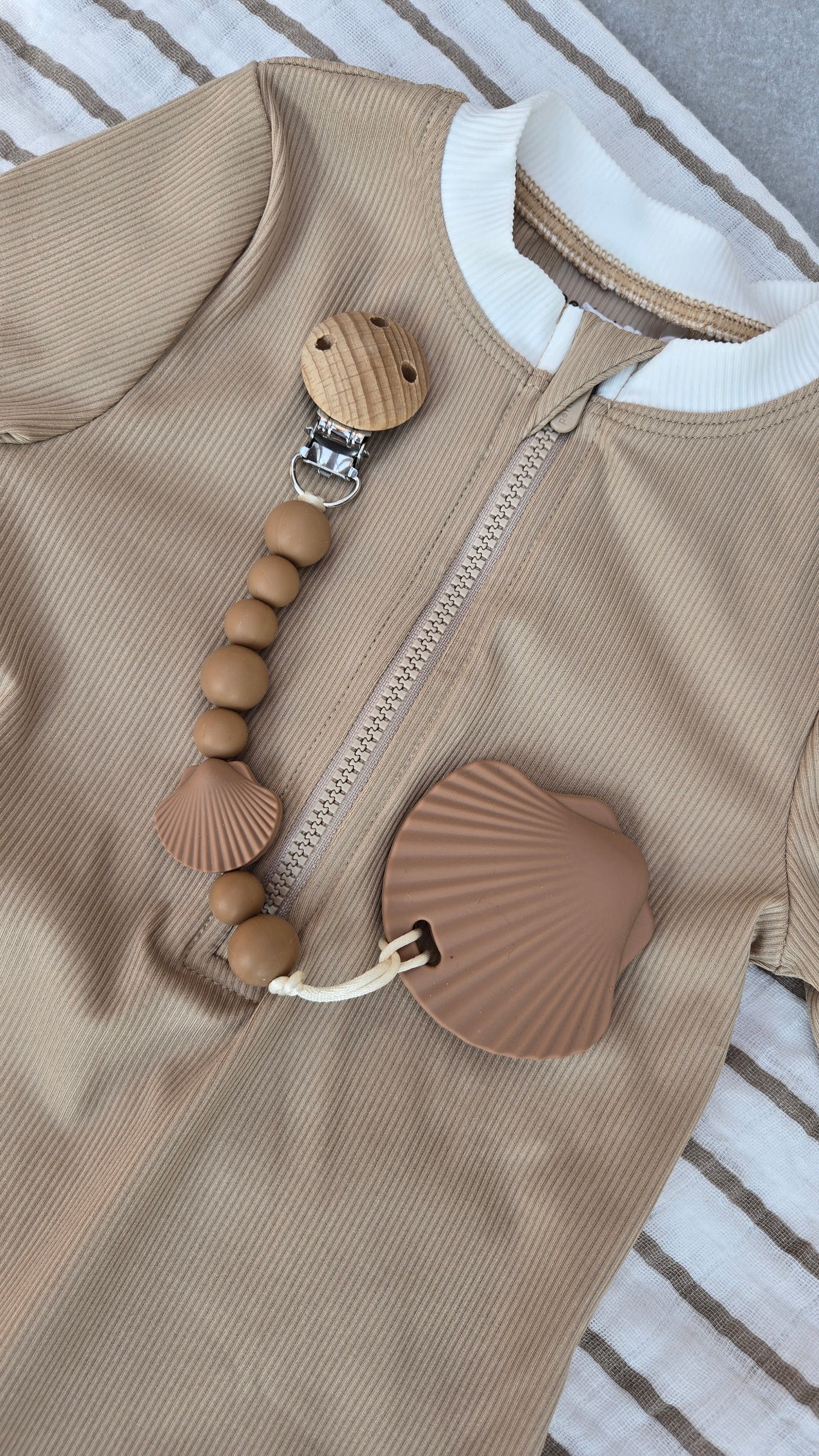 Attache-suce Coquillage